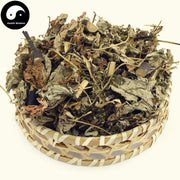 Bai Bei Ye 白背叶, Bai He Ye, Bai Mian Feng, Folium Mallotus Apelta-Health Wisdom™