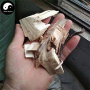 Bai Bei Ye Gen 白背叶根, Radix Mallotus Apelta, Mallotus Apelta Root-Health Wisdom™