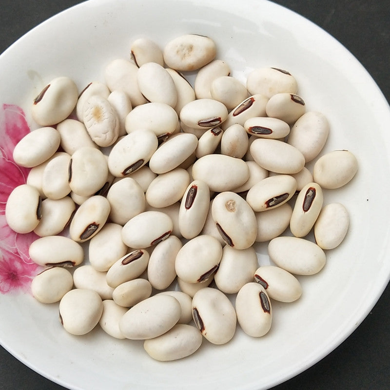 Bai Dao Dou Zi 白刀豆子, Sword Jackbean Seed, White Semen Canavaliae-Health Wisdom™