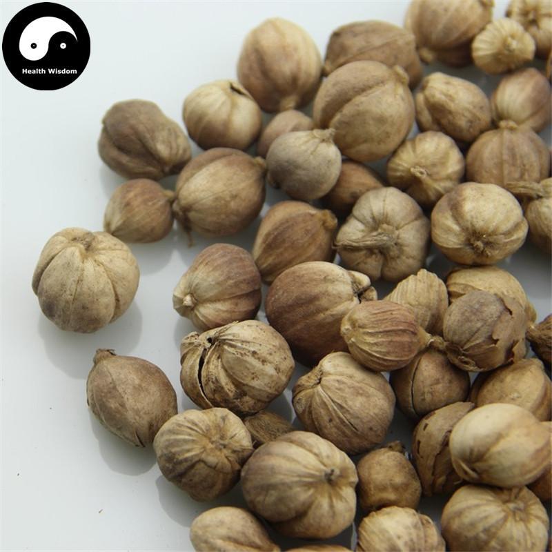 Bai Dou Kou 白豆蔻, Bai Kou Ren, Round Cardamom Fruit, Java Amomum Fruit, Fructus Amomi Rotundus-Health Wisdom™