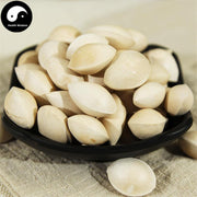 Bai Guo 白果, Semen Ginkgo, Yin Xing 银杏, Ginkgo Biloba Seed-Health Wisdom™