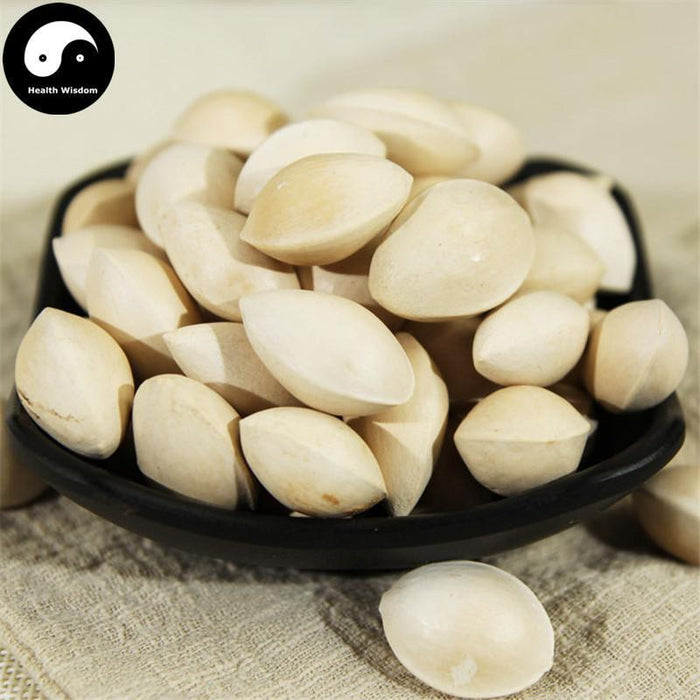 Bai Guo 白果, Semen Ginkgo, Yin Xing 银杏, Ginkgo Biloba Seed-Health Wisdom™