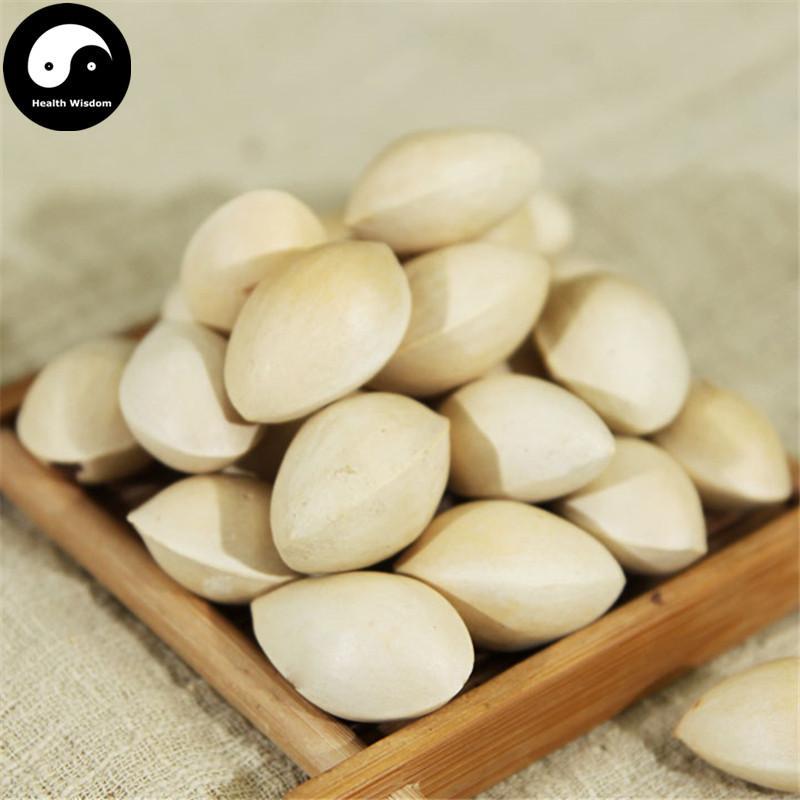 Bai Guo 白果, Semen Ginkgo, Yin Xing 银杏, Ginkgo Biloba Seed-Health Wisdom™