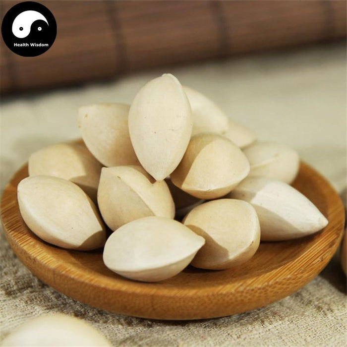 Bai Guo 白果, Semen Ginkgo, Yin Xing 银杏, Ginkgo Biloba Seed-Health Wisdom™