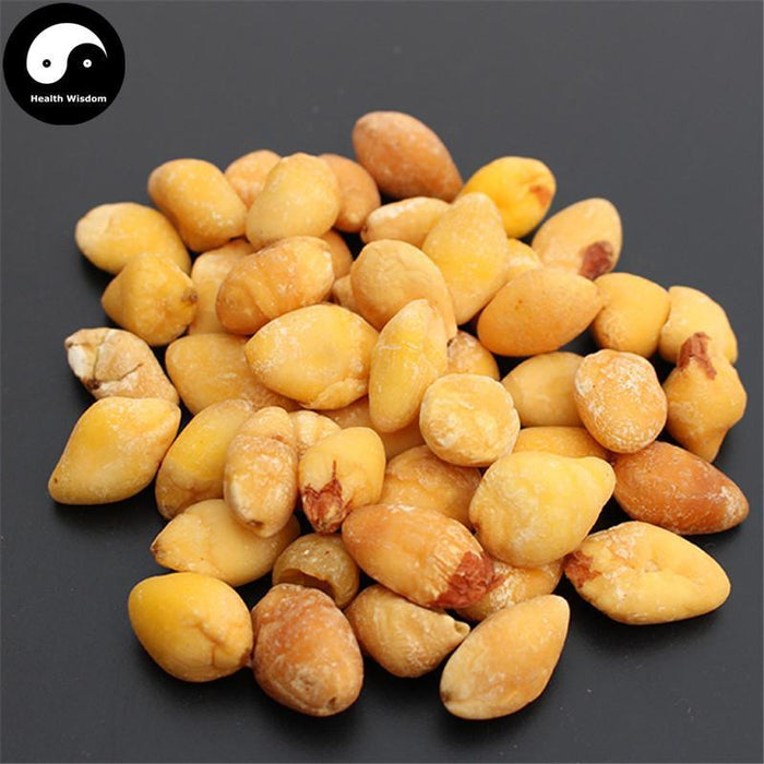 Bai Guo Ren 白果仁, Semen Ginkgo, Yin Xing 银杏, Ginkgo Biloba Seed-Health Wisdom™