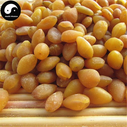 Bai Guo Ren 白果仁, Semen Ginkgo, Yin Xing 银杏, Ginkgo Biloba Seed-Health Wisdom™