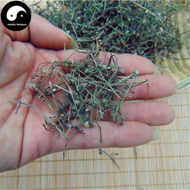 Bai Hua She She Cao 白花蛇舌草, Herba Hedyotidis Diffusae, Spreading Hedyotis Herb-Health Wisdom™