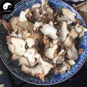 Bai Ji 白芨, Rhizoma Bletillae, Herb Bletilla Striata Root Slices-Health Wisdom™