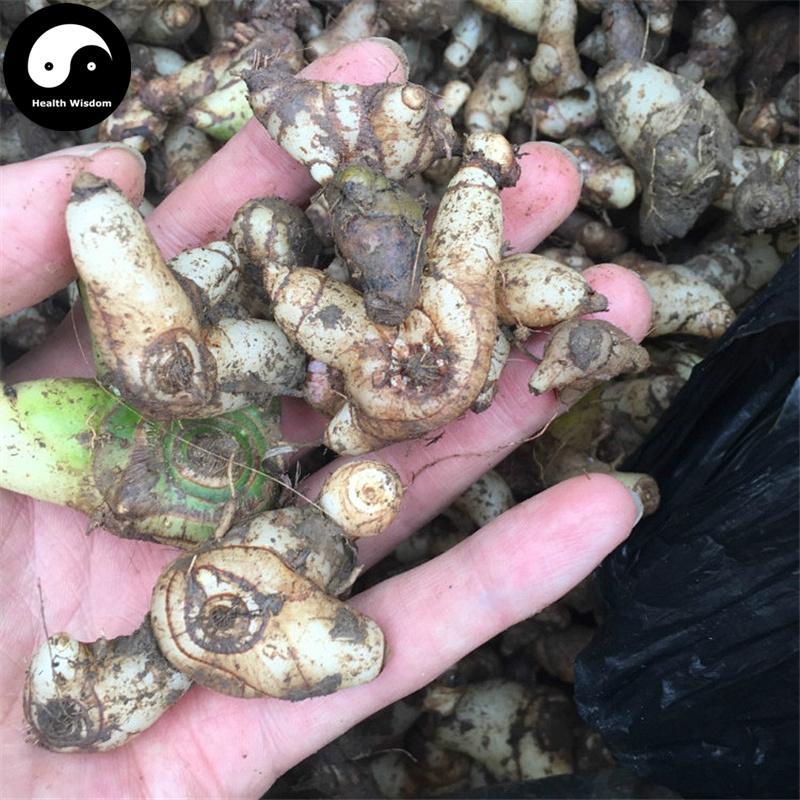 Bai Ji 白芨, Rhizoma Bletillae, Herb Bletilla Striata Root Slices-Health Wisdom™