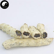 Bai Jiang Can 白僵蚕, Bombyx Batryticatus, Silkworm Larva, Bombyx Mori-Health Wisdom™