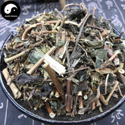 Bai Jiang Cao 敗醬草, Herba Patriniae, Dahurian Patrinia Herb, Whiteflower Patrinia Herb-Health Wisdom™