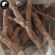 Bai Jie Teng 百解藤, Cyclea Hypoglauca, Jin Suo Shi, Liang Fen Teng, Jin Xian Feng-Health Wisdom™