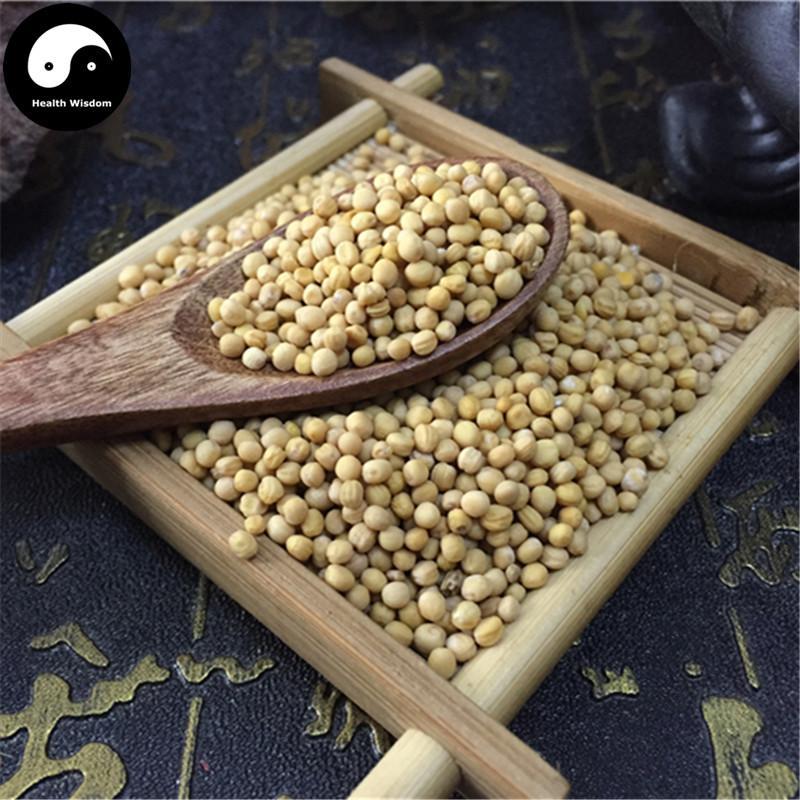 Bai Jie Zi 白芥子, Semen Brassicae, White Mustard Seed, Semen Sinapis Albae-Health Wisdom™