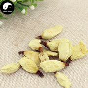 Bai Lan Hua 白蘭花, Michelia Alba Flower, Flos Micheliae Albae-Health Wisdom™