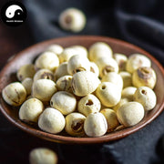 Bai Lian Zi 白蓮子, Semen Nelumbinis, Lotus Seed-Health Wisdom™