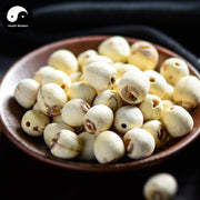 Bai Lian Zi 白蓮子, Semen Nelumbinis, Lotus Seed-Health Wisdom™