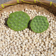 Bai Lian Zi 白蓮子, Semen Nelumbinis, Lotus Seed-Health Wisdom™