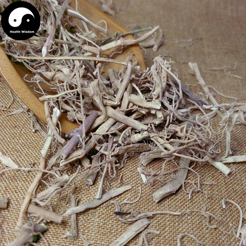 Bai Qian 白前, Radix Cynanchi Stauntonii, Cynanchum Glaucescens Rhizome-Health Wisdom™