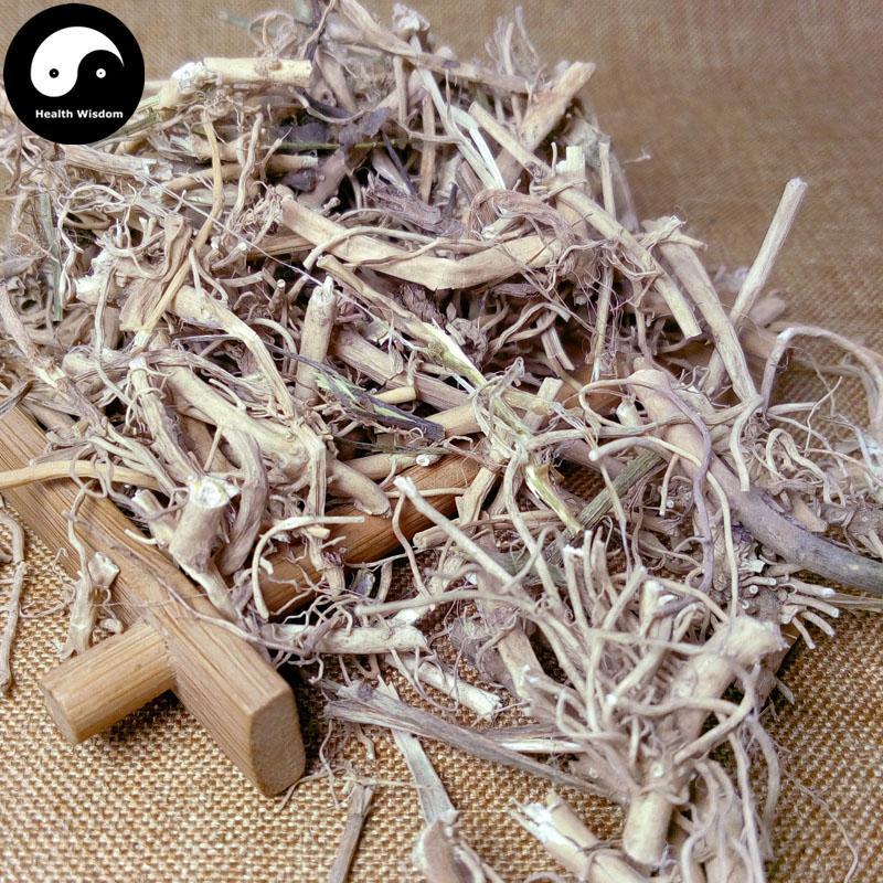 Bai Qian 白前, Radix Cynanchi Stauntonii, Cynanchum Glaucescens Rhizome-Health Wisdom™