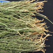 Bai Rui Cao 百蕊草, Chinese Bastardtoadflax Herb, Herba Thesii, Bai Ru Cao-Health Wisdom™