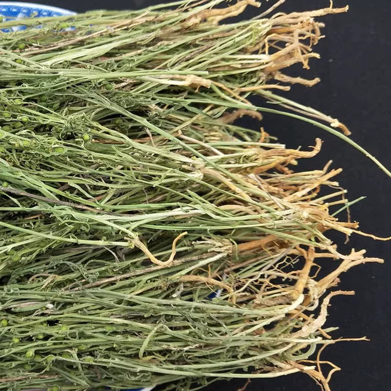 Bai Rui Cao 百蕊草, Chinese Bastardtoadflax Herb, Herba Thesii, Bai Ru Cao-Health Wisdom™