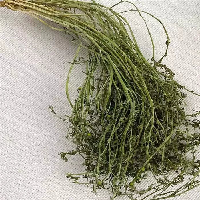 Bai Rui Cao 百蕊草, Chinese Bastardtoadflax Herb, Herba Thesii, Bai Ru Cao-Health Wisdom™
