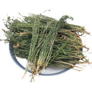 Bai Rui Cao 百蕊草, Chinese Bastardtoadflax Herb, Herba Thesii, Bai Ru Cao-Health Wisdom™