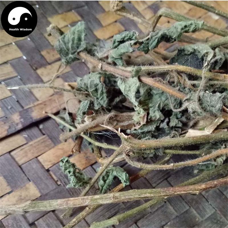 Bai Ying 白英, Bittersweet Herb, Herba Solani Lyrati, Shu Yang Quan, Bai Mao Teng-Health Wisdom™