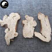 Bai Zhu 白術, Rhizoma Atractylodis Powder, Largehead Atractylodes Rhizome-Health Wisdom™