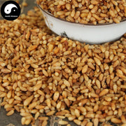 Bai Zi Ren 柏子仁, Semen Platycladi, Platycladi Seed-Health Wisdom™