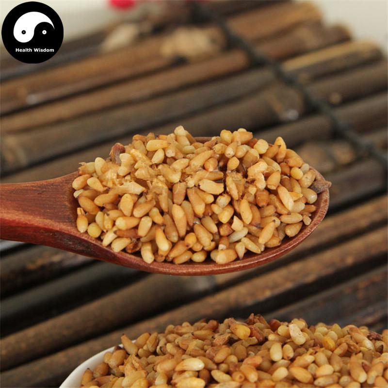 Bai Zi Ren 柏子仁, Semen Platycladi, Platycladi Seed-Health Wisdom™
