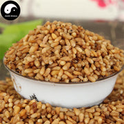 Bai Zi Ren 柏子仁, Semen Platycladi, Platycladi Seed-Health Wisdom™