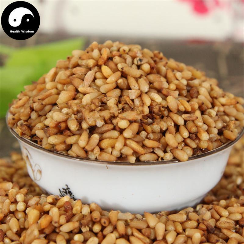 Bai Zi Ren 柏子仁, Semen Platycladi, Platycladi Seed-Health Wisdom™