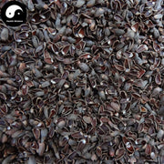 Bai Zi Ren Ke 柏子仁壳, Shell Of Semen Platycladi, Platycladi Shell-Health Wisdom™