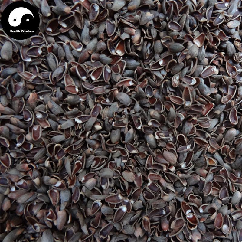 Bai Zi Ren Ke 柏子仁壳, Shell Of Semen Platycladi, Platycladi Shell-Health Wisdom™