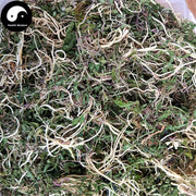 Ban Bian Lian 半邊蓮, Herba Lobeliae Chinensis, Chinese Lobelia Herb-Health Wisdom™