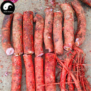 Ban Feng He Gen 半枫荷根, Radix Semiliquidambar Cathayensis, Fan Bai Ye Shu Gen-Health Wisdom™