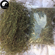 Ban Zhi Lian 半枝蓮, Herba Scutellariae Barbatae, Skullcap Herb, Bing Tou Cao-Health Wisdom™