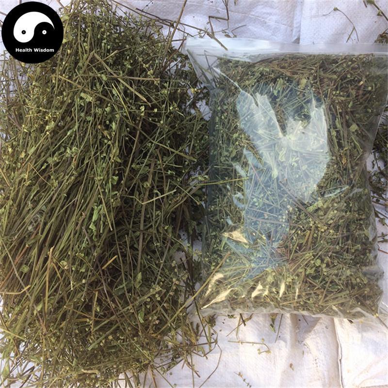 Ban Zhi Lian 半枝蓮, Herba Scutellariae Barbatae, Skullcap Herb, Bing Tou Cao-Health Wisdom™