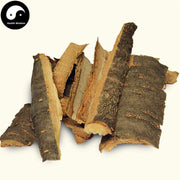 Bao Ma Zi Pi 暴马子皮, Cortex Syringae, Manchurian Lilac Bark, Syringa Reticulata-Health Wisdom™