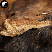 Bao Shu Ling Zhi 薄树灵芝, Reishi Mushroom, Dried Ganoderma Lucidum, Wild Lingzhi Tea-Health Wisdom™