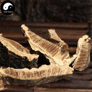 Bao Shu Ling Zhi 薄树灵芝, Reishi Mushroom, Dried Ganoderma Lucidum, Wild Lingzhi Tea-Health Wisdom™