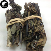Bi Ma Ye 蓖麻叶, Leaf Ricini, Castor Leaves-Health Wisdom™