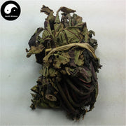 Bi Ma Ye 蓖麻叶, Leaf Ricini, Castor Leaves-Health Wisdom™