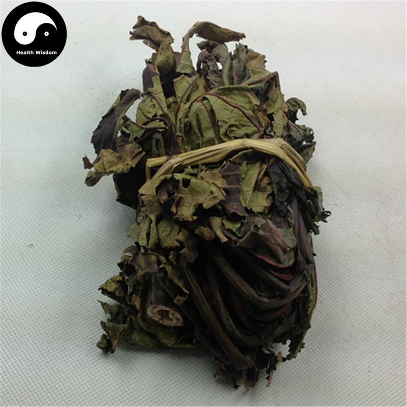 Bi Ma Ye 蓖麻叶, Leaf Ricini, Castor Leaves-Health Wisdom™
