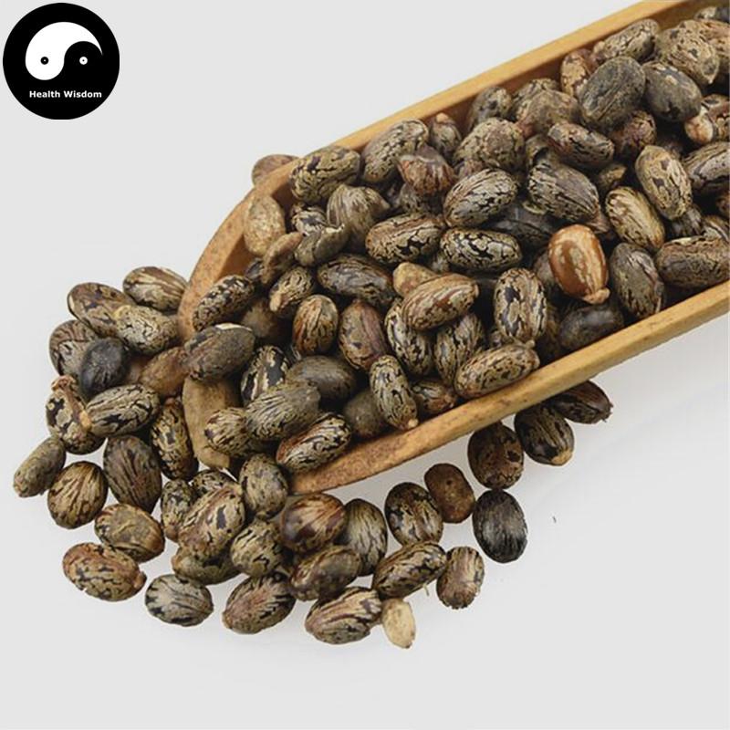 Bi Ma Zi 蓖麻子, Semen Ricini, Castor Bean-Health Wisdom™