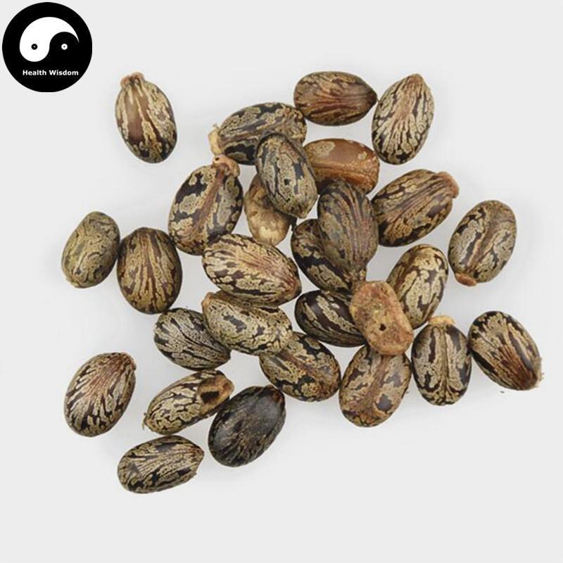 Bi Ma Zi 蓖麻子, Semen Ricini, Castor Bean-Health Wisdom™