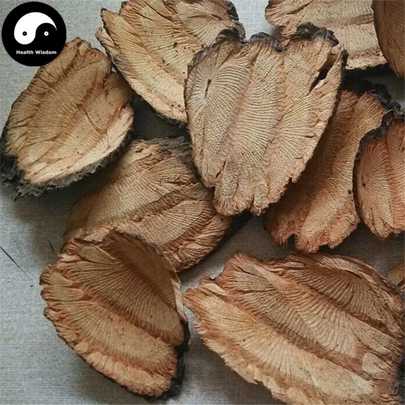 Bian Teng 扁藤, Tetrastigma Planicaule, Da Lu Teng, Tie Dai Teng-Health Wisdom™