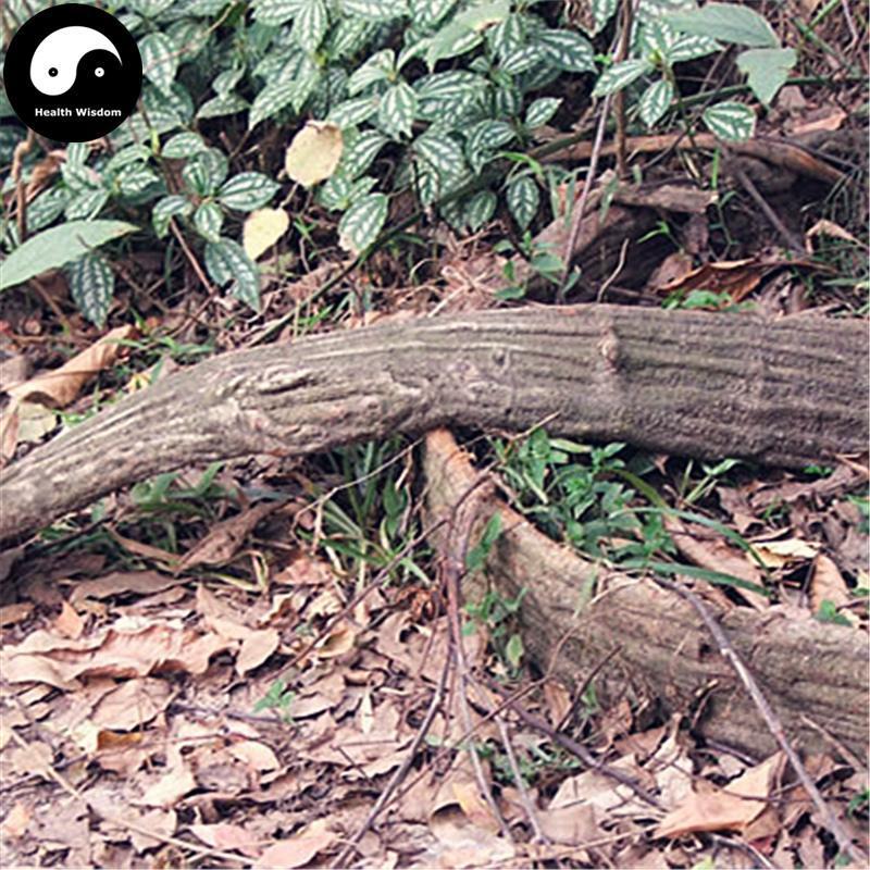 Bian Teng 扁藤, Tetrastigma Planicaule, Da Lu Teng, Tie Dai Teng-Health Wisdom™