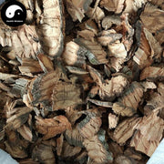 Bian Teng 扁藤, Tetrastigma Planicaule, Da Lu Teng, Tie Dai Teng-Health Wisdom™